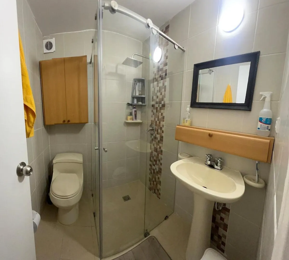 Comfortable And Bright Apartment Bogota